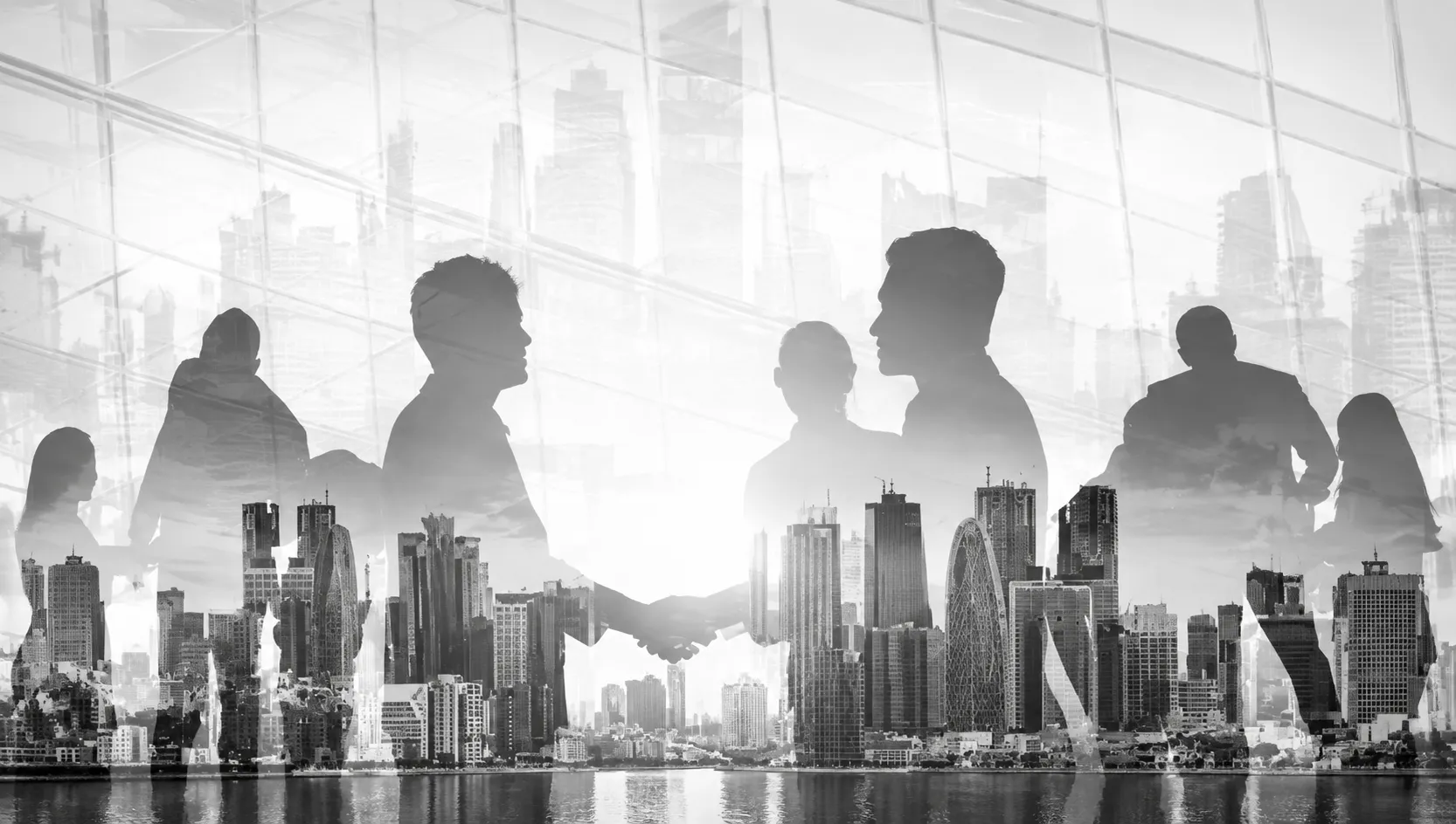 Rethinking the C-Suite in Gulf Family Enterprises Blog Banner Image